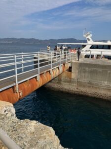 ドルフィン桟橋